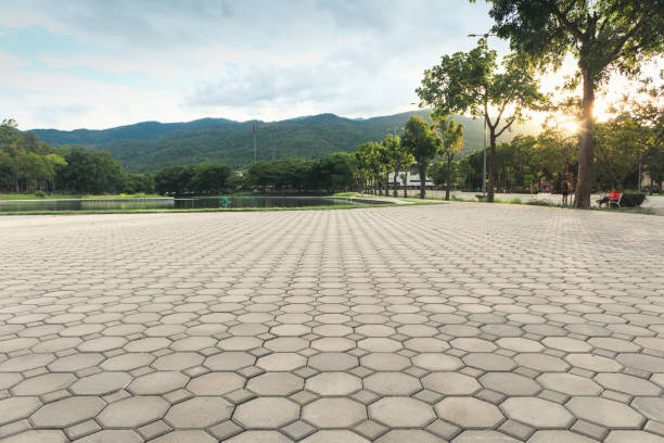 Best Driveway Pavers Near Me  in Orchards, WA